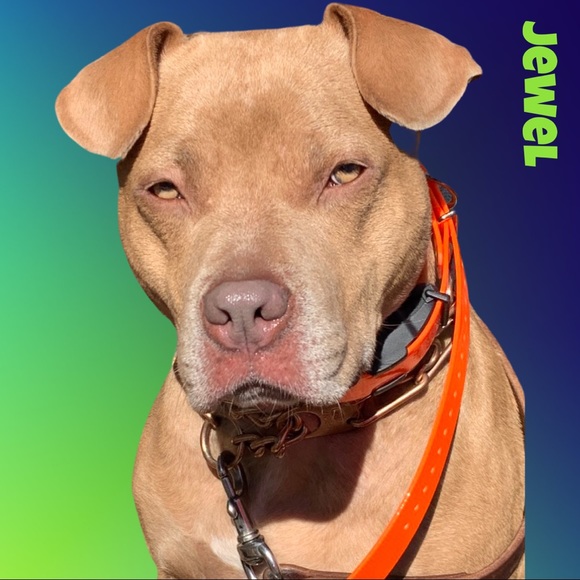 🧜‍♀️ - Picture 4 of 13